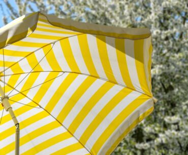parasol